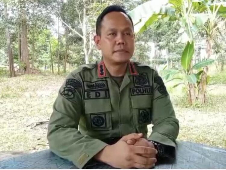 Sempat Viral, KPH Sungai Buaya Pastikan Jejak Kaki di Register 45 Mesuji Bukan Harimau