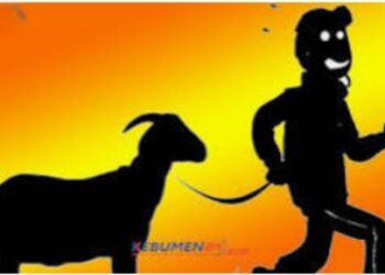 Maling Kambing Di Lampura, Ditangkap Polisi Di TBB