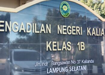 Saksi Ahli Pidana Yakin Perkara Ijazah Palsu Anggota DPRD Lampung Selatan Ada Yang Menyuruh