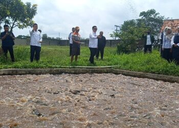 Tingkatkan Perekonomian Masyarakat, Pemkot Metro Rancang Pembudidayaan Lele di 22 Kelurahan
