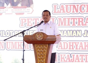 Pringsewu Bidik Produksi Jagung 48.899 Ton di 2025, Dorong Kesejahteraan Petani dan UMKM