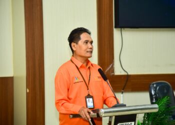 BPS Gandeng Pemkab Mesuji Libatkan Peran OPD Wujudkan PSS