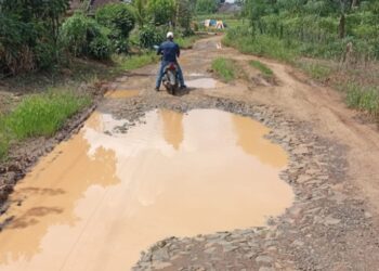 Masyarakat Menjerit,  Akses Jalan Di Kecamatan Sungkai Barat Rusak Parah