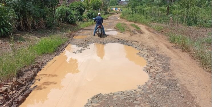 Masyarakat Menjerit,  Akses Jalan Di Kecamatan Sungkai Barat Rusak Parah