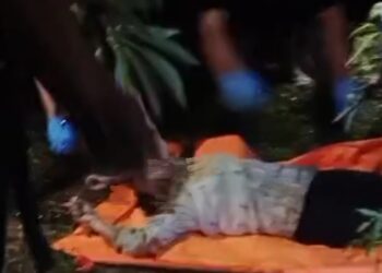 Heboh..Penemuan Mayat Wanita Di Kebun Singkong,  Diduga Korban Pembunuhan