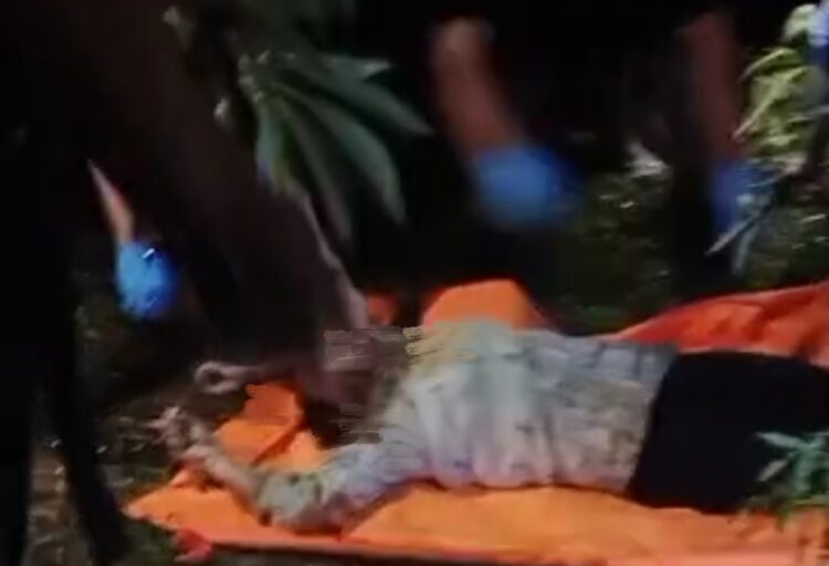 Heboh..Penemuan Mayat Wanita Di Kebun Singkong,  Diduga Korban Pembunuhan