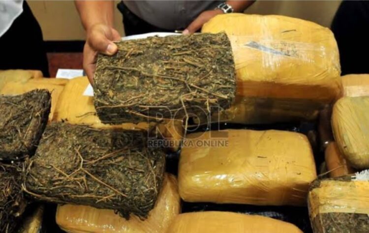 Warga Padang, Bawa Ganja 40 Kg, Ditangkap Polisi Di Lampung