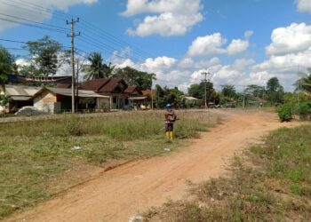 Tiap 3 Bulan Sekali, Pemdes Berasan Makmur Rutin Lakukan Pembersihan Ruas Jalan Provinsi