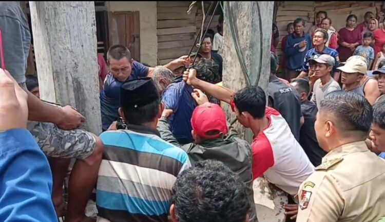 Dikejar Harimau, Pria Di Lampura Tewas Lompat Ke Sumur