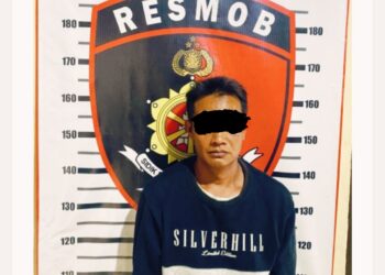 Pelaku Rudapaksa Anak Dibawah Umur, Di Desa Sabuk Empat, Di Tangkap Di Sumatera Selatan