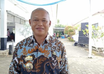 Targetkan Tanam 2.588 Hektar, Petani Diimbau Waspada Hama Tikus