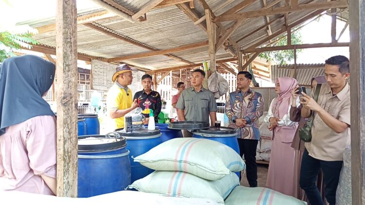 Dorong Produksi Susu Kambing Etawa, Pemkot Metro Usulkan Bantuan ke Pusat
