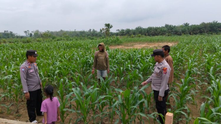Polsubsektor Mesuji Gencar Sambang dan Binluh, Tingkatkan Ketahanan Pangan di Desa