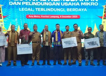 Berikan Kemudahan dan Perlindungan Usaha Mikro, Kementerian UMKM Gelar Festival di Kota Metro