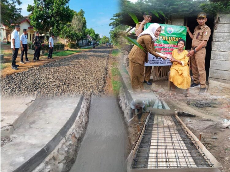 Realisasi DD Tiyuh Mulya Jaya Skala Prioritas Dan Kebutuhan
