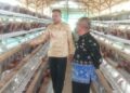 Dukung Program Ketahanan Pangan, Pemdes Mekar Sari Budidaya Ayam Petelur
