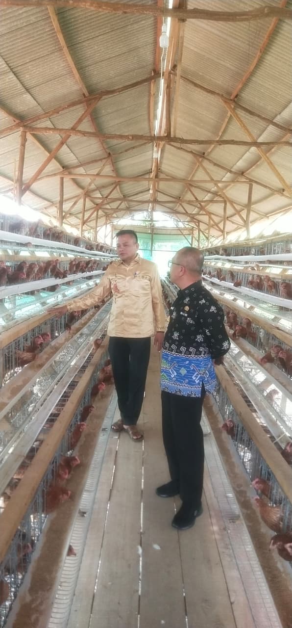 Dukung Program Ketahanan Pangan, Pemdes Mekar Sari Budidaya Ayam Petelur