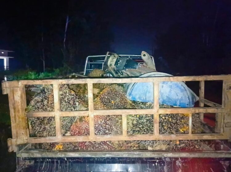 Curi Buah Sawit di Lahan PT SIP, Warga Sidang Gunung Tiga Ini Diciduk Polisi