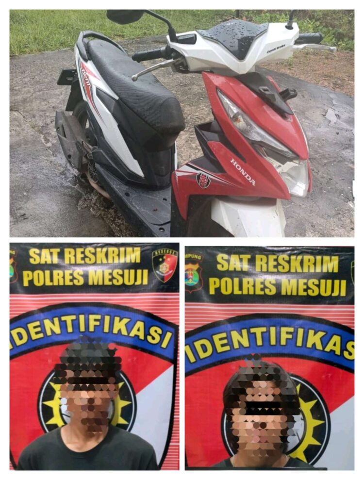 Dua Pelaku Pemerkosaan Konten Kreator di Mesuji Dibekuk Polisi