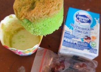 Program MBG Presiden Diduga Jadi Ladang Bancakan Oknum Berkesempatan.