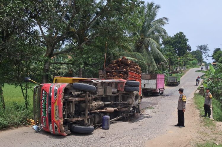 Truk Bermuatan Sawit Terguling di Tanjakan Adiluwih, Diduga Akibat Patah As