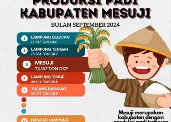 Panen Raya, Padi Mesuji Untuk Siapa