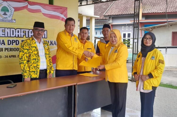 Musda ke-IV Partai Golkar, Haryati Candralela Calon Tunggal Ketua DPD Mesuji