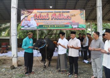 Polres Mesuji Sembelih Hewan Kurban 6 Ekor Sapi dan 13 Ekor Kambing