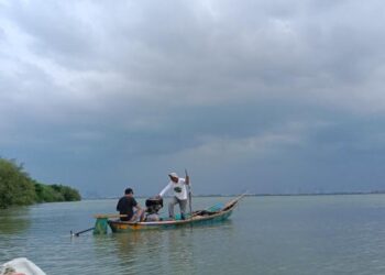 Dorong Restorasi Pesisir Berbasis Pemberdayaan Petani Mangrove di Surabaya