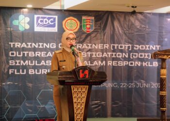 Wagub Jihan Nurlela Minta Penanganan Kasus Flu Burung Diperkuat dengan Kesiapsiagaan Menghadapi Ancaman Penyakit Zoonosis melalui Pendekatan Kolaboratif Antarinstansi dan Lintas Sektor