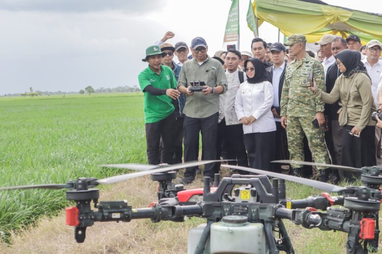 Tingkatkan Kesejahteraan Petani, Gubernur Lampung Komitmen Optimalkan Modernisasi dan Hilirisasi Sektor Pertanian