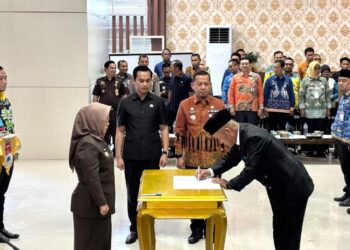 Resmi Sunardi Jabat Sekwan DPRD Mesuji, Ini Perjalanan Kariernya
