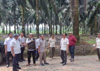 BPN Mesuji Hadiri Rakor Penyelenggaraan Reforma Agraria l Provinsi Lampung TA 2026