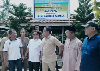 Bupati Pringsewu Kunjungi Kelompok Peternak Kambing Perah di Sukoharjo