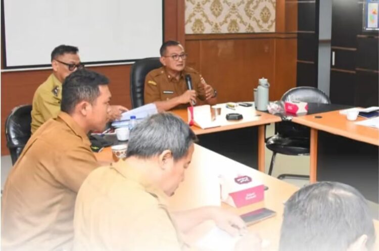 Anggaran Tubaba Tidak Terlalu Baik, Uluan Nugrik Mati Suri, Sekda Libatkan OPD