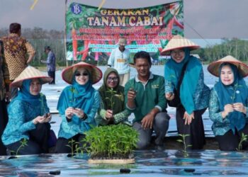 Melalui Program CSR BI, Pemkab Tubaba Kendalikan Inflasi Tanam Cabai