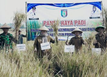 Wabup Pringsewu Panen Raya di Wonosari, Pemkab Terus Dukung Sektor Pertanian