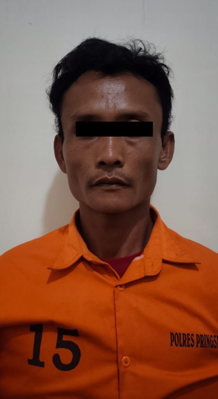 Setahun Buron Kasus Curanmor, Andi Lau Ditangkap Polisi di Tanggamus