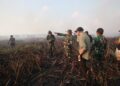 Tim Alfa TNI Diterjunkan Padamkan Karhutla di Way Kambas