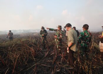 Tim Alfa TNI Diterjunkan Padamkan Karhutla di Way Kambas