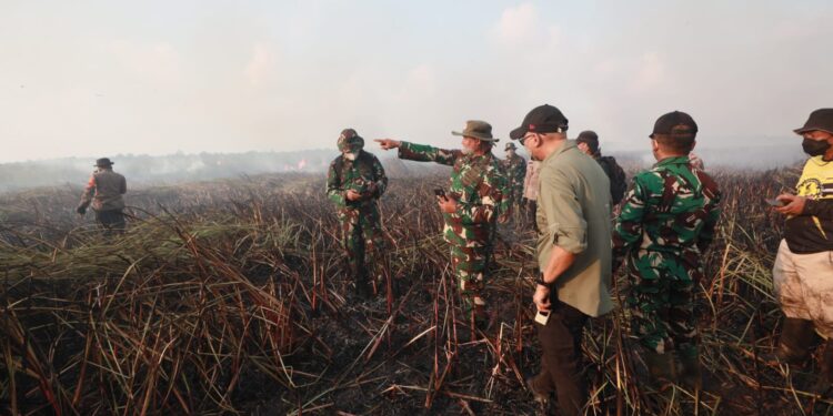 Tim Alfa TNI Diterjunkan Padamkan Karhutla di Way Kambas