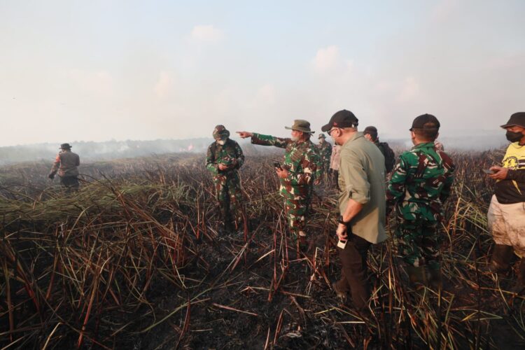 Tim Alfa TNI Diterjunkan Padamkan Karhutla di Way Kambas
