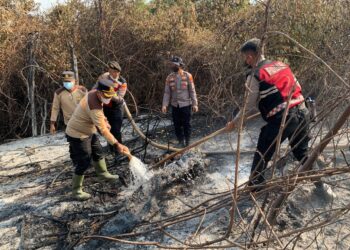 Kapolres Mesuji Turun Langsung Pimpin Pemadaman Kebakaran Lahan Perkebunan Tebu PT Silva Inhutani