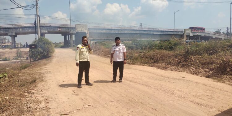 Keberhasilan Elfianah Benahi Infrastruktur Jalan, Petani Padi di Mesuji Sumringah
