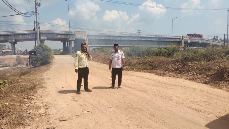 Keberhasilan Elfianah Benahi Infrastruktur Jalan, Petani Padi di Mesuji Sumringah
