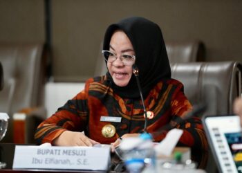 Dua Tahun Dipimpin Elfianah, Masyarakat Mesuji Mulai Menikmati Hasil Inovasi Pembangunannya