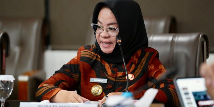 Dua Tahun Dipimpin Elfianah, Masyarakat Mesuji Mulai Menikmati Hasil Inovasi Pembangunannya
