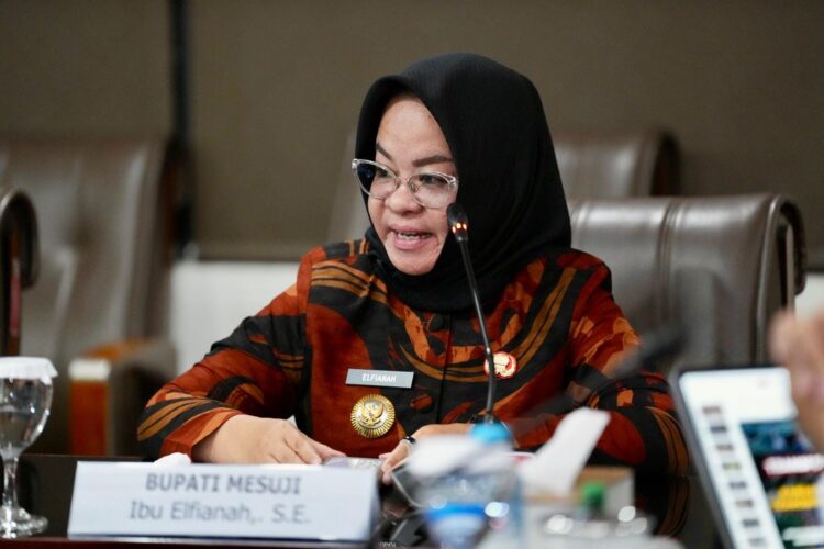 Dua Tahun Dipimpin Elfianah, Masyarakat Mesuji Mulai Menikmati Hasil Inovasi Pembangunannya