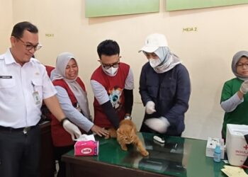 Peringati Word Rabies Day, Disbunak Gelar Vaksinasi Rabies Gratis Ratusan Hewan Di Lampura