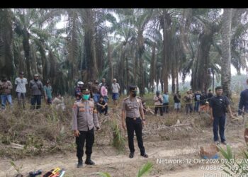Tim Inafis Polres Mesuji Olah TKP dan Identifikasi Penemuan Jasad Wanita di Kebun Sawit
